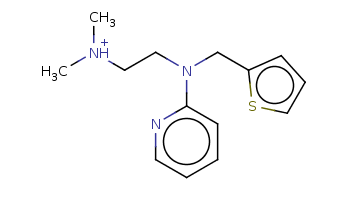 C[NH+](C)CCN(Cc1cccs1)c2ccccn2 