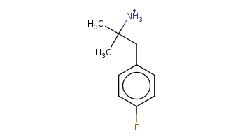 CC(C)(Cc1ccc(cc1)F)[NH3+] 