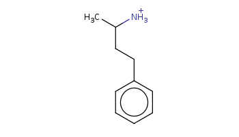 CC(CCc1ccccc1)[NH3+] 