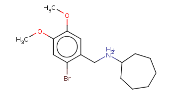 COc1cc(c(cc1OC)Br)C[NH2+]C2CCCCCC2 