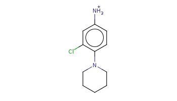 c1cc(c(cc1[NH3+])Cl)N2CCCCC2 