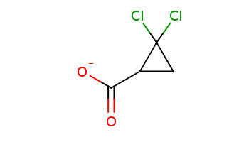 C1C(C1(Cl)Cl)C(=O)[O-] 